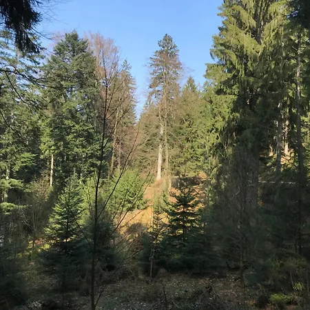 Hesselbach Oberkirch (Baden)