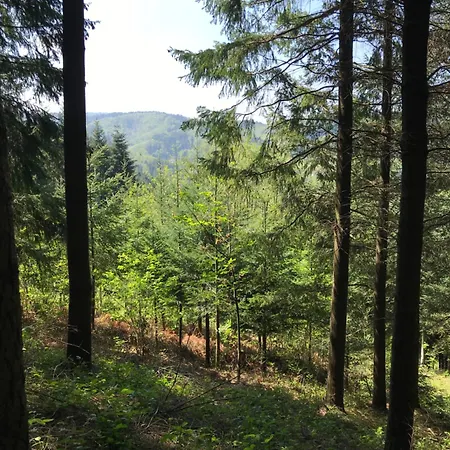 Διαμέρισμα Hesselbach Oberkirch (Baden)