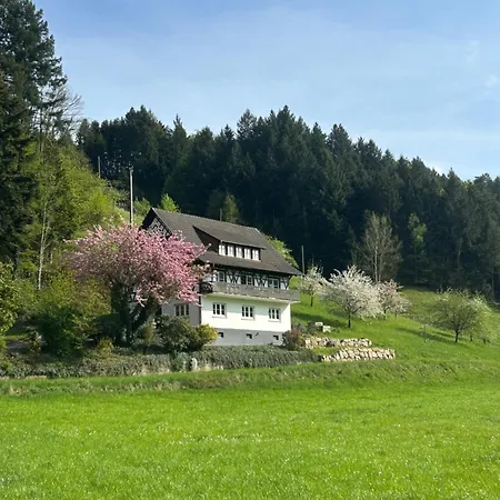 Apartamento Hesselbach *