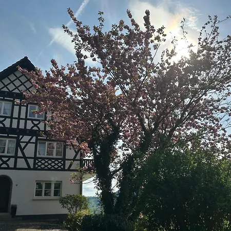 Hesselbach Διαμέρισμα Oberkirch (Baden)