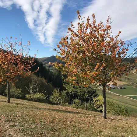 Hesselbach Apartment Oberkirch (Baden)