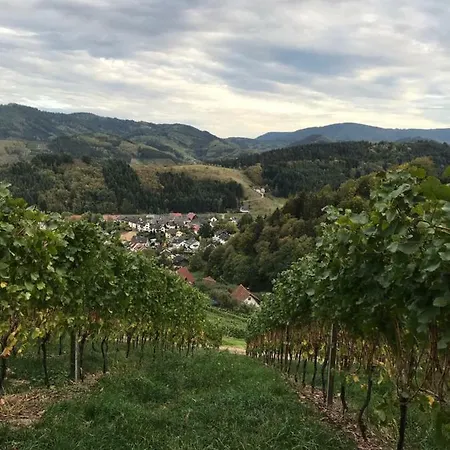 Apartment Hesselbach Oberkirch (Baden)